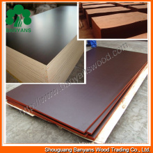 Film Faced Plywood / Marine Plywood / Construction Plywood